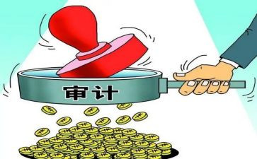 审计工作上半年总结8篇