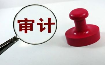 2024年审计工作半年总结5篇