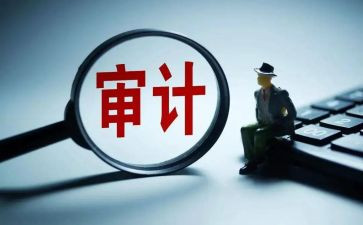 审计工作半年度工作总结6篇