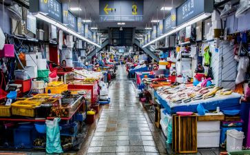建筑市场科工作计划7篇