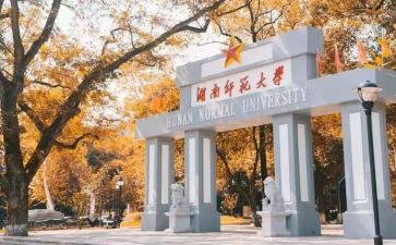 师范生教育实习调研报告5篇