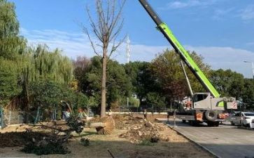 施工中安全生产工作计划5篇