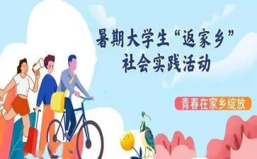双11调查实践报告5篇
