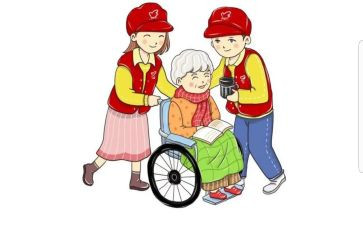 生态实践报告8篇