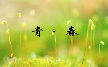 十七岁读后感8篇
