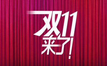 双11快递工作总结5篇