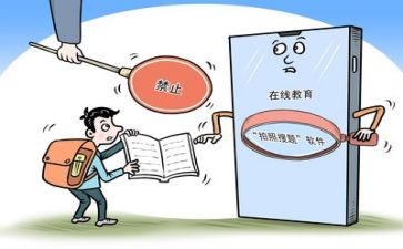 区双减工作总结参考5篇