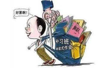 双减的工作总结模板8篇