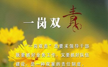 一岗双责工作报告6篇