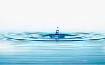 水果屋中班语言教案6篇