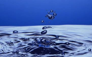 小小班水果歌教案模板8篇