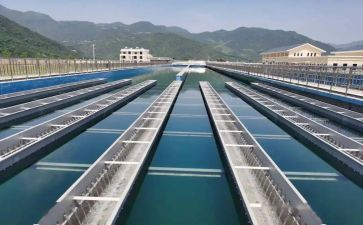 2024年水厂年终总结推荐5篇