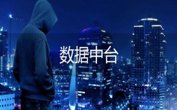 数据类的工作总结8篇