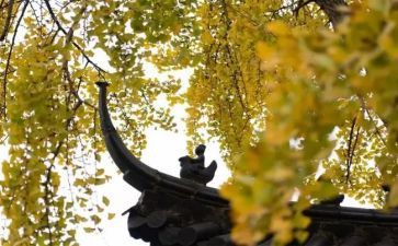 寺管干部工作计划最新5篇