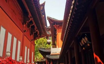 寺管干部工作计划精选7篇