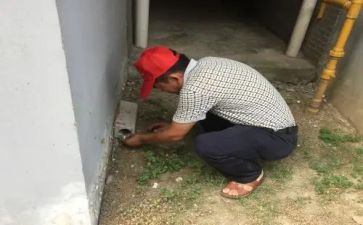 社区灭四害工作计划6篇