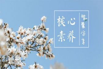 优秀教师的素养心得体会6篇