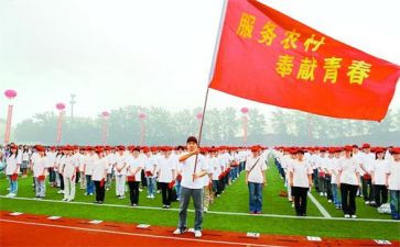 2024年特岗教师个人总结参考6篇