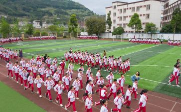 对幼儿体育活动的总结6篇