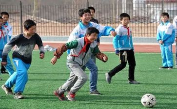幼儿园体育活动教案精选7篇