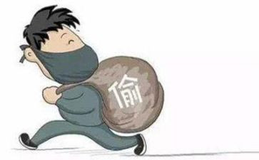 偷莎士比亚的贼读后感通用7篇