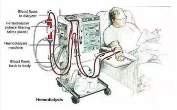 血液透析室个人总结7篇