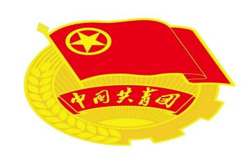 2024年团支部书记述职报告模板8篇