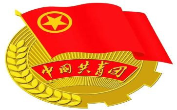 团支部工作总结800精选6篇