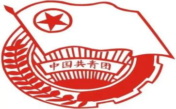 团支部工作总结800推荐8篇