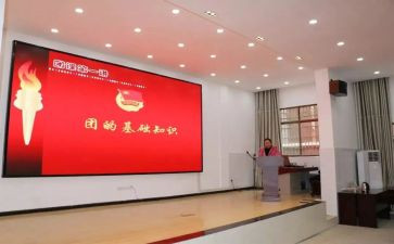 团组织生活工作总结6篇