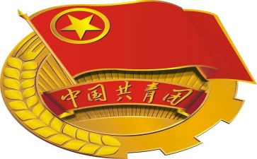 2024年团组织工作总结8篇