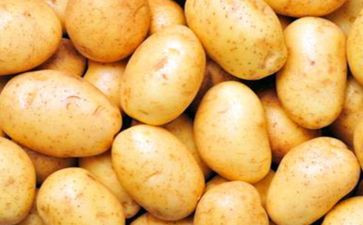 土豆教案5篇