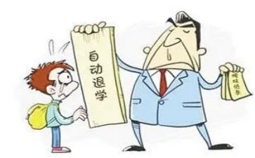 上高中退学申请书8篇