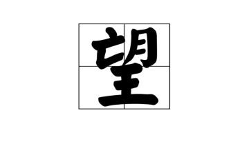 希望的素材作文800字7篇