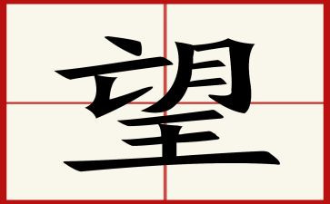 仰望,作文最新5篇