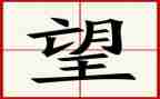 回望的作文800字5篇
