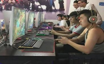公司网管的工作总结5篇