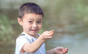 灰王子读后感推荐8篇