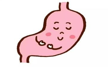 胃的话教案7篇
