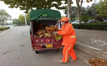 环卫工作年度总结范文8篇