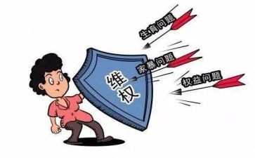 维权月活动总结5篇