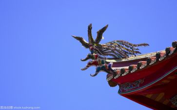 谈文化心得体会5篇