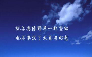 文字调查报告字8篇
