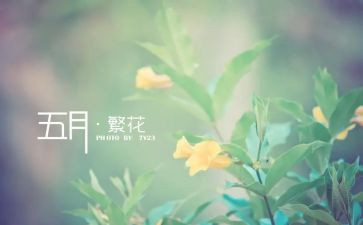 大班五月份工作计划6篇