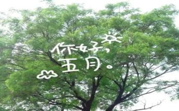 2023中班五月工作总结5篇