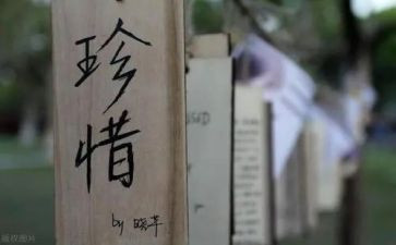 珍惜岗位的演讲稿7篇