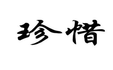 珍惜主题演讲稿模板8篇