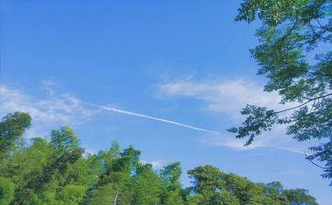 我爱夏季小作文7篇
