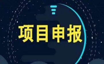 项目生年度工作报告7篇
