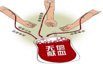 献血的活动总结7篇